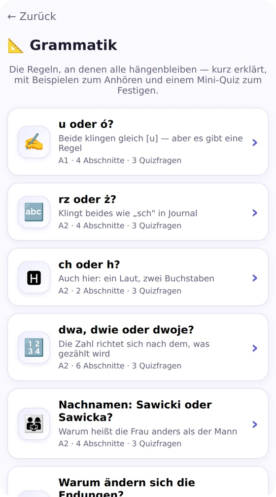 Papuga: Grammatik-Themen in Alltagssprache erklärt